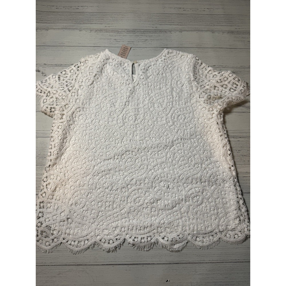 Philosophy Blouse White Lace Overlay Pullover Sz L Fringed Chic Career relax‎